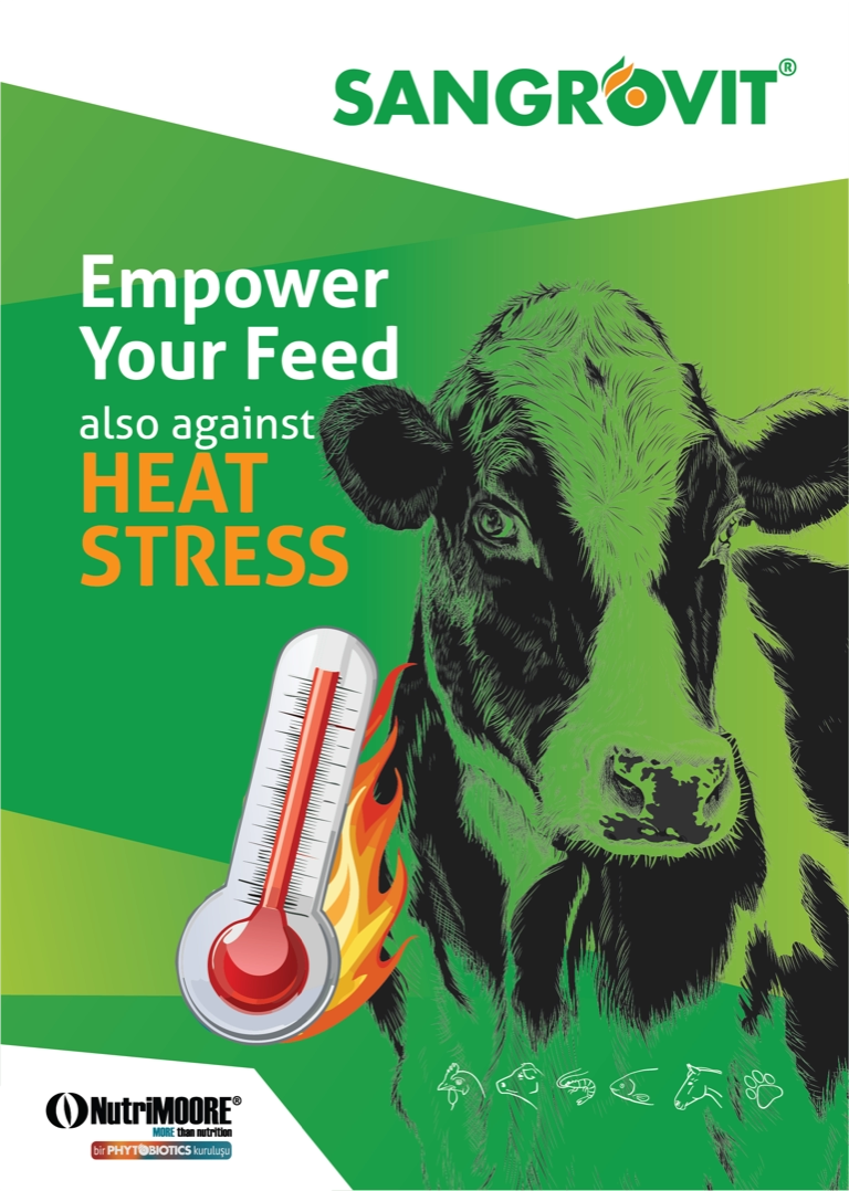 sgv-heat-stress-2artboard-94_1-3x-768
