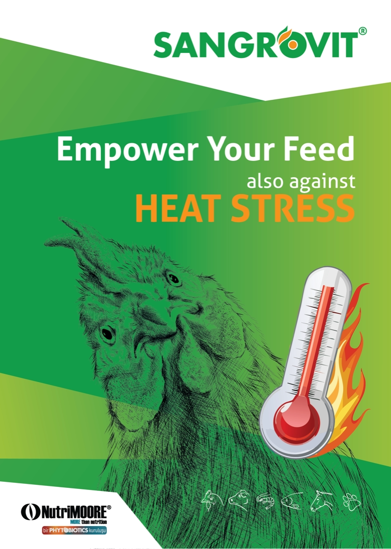 sgv-heat-stressartboard-94-3x-768